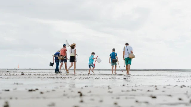 Une famille marche sur une plage à la recherche de coquillages