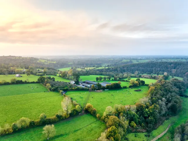 Aerial view of a rural landscape with green fields and trees