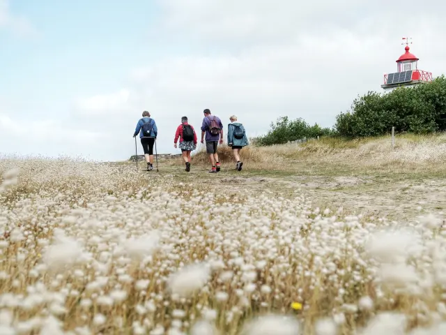 Quatre personnes marchant vers un petit phare rouge et blanc dans un champ d'herbes hautes
