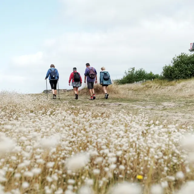 Quatre personnes marchant vers un petit phare rouge et blanc dans un champ d'herbes hautes