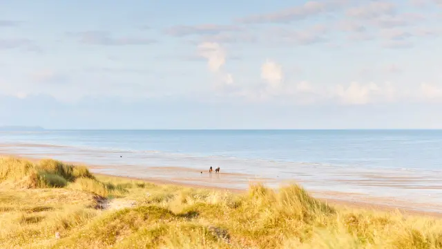Balade sur la plage