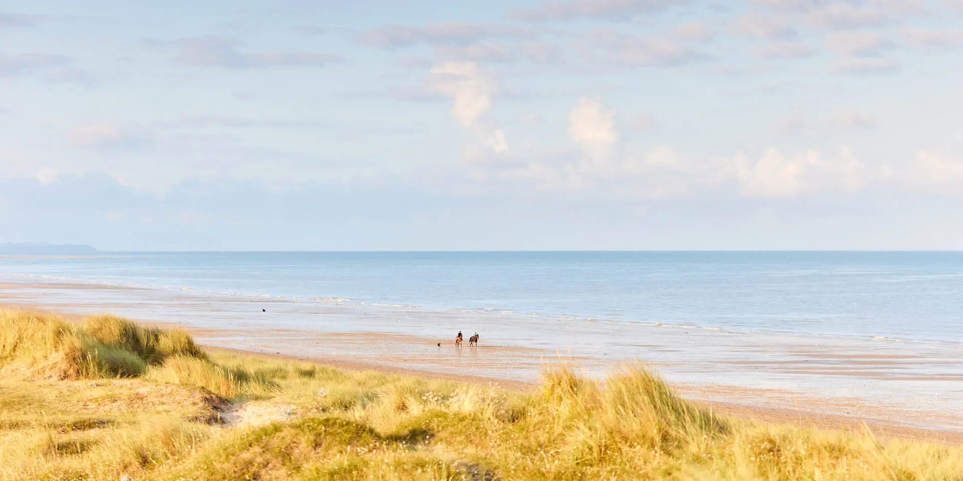 Zwei Personen und ein Hund gehen an einem einsamen Strand spazieren