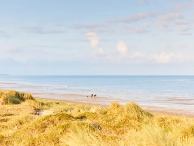 Balade sur la plage