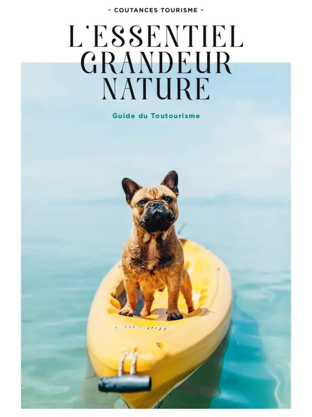 A dog sitting in a yellow kayak on the water