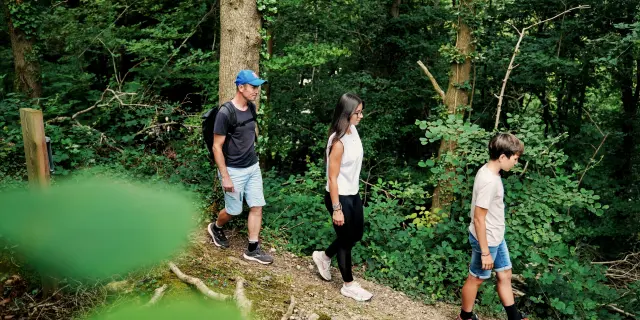 Three people walking on a forest trail