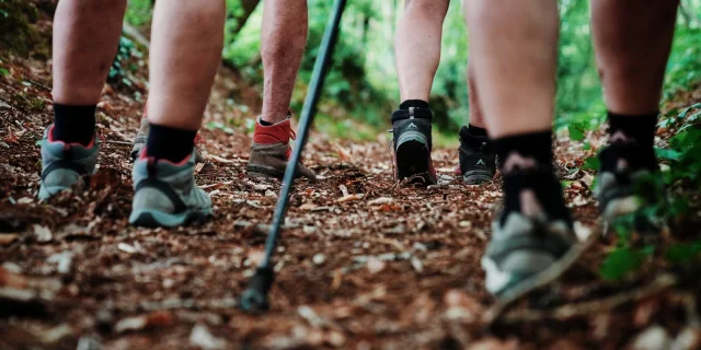 Hiker's feet walking on a forest trail