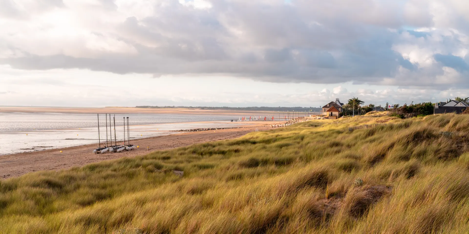 Deserted beach with tall grasses and a cloudy sky