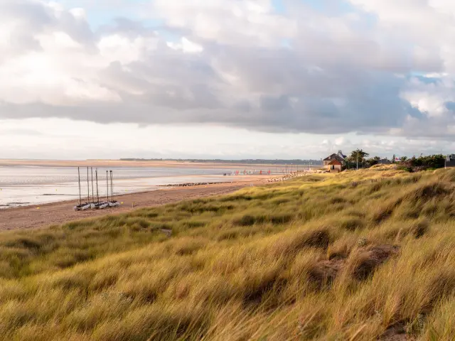 Verlassener Strand mit hohem Gras und bewölktem Himmel