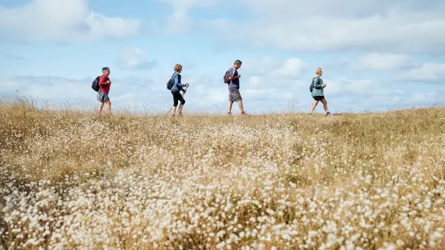 Four people walking in a field of wildflowers