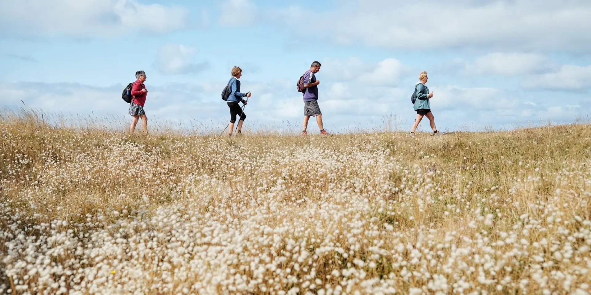 Four people walking in a field of wildflowers
