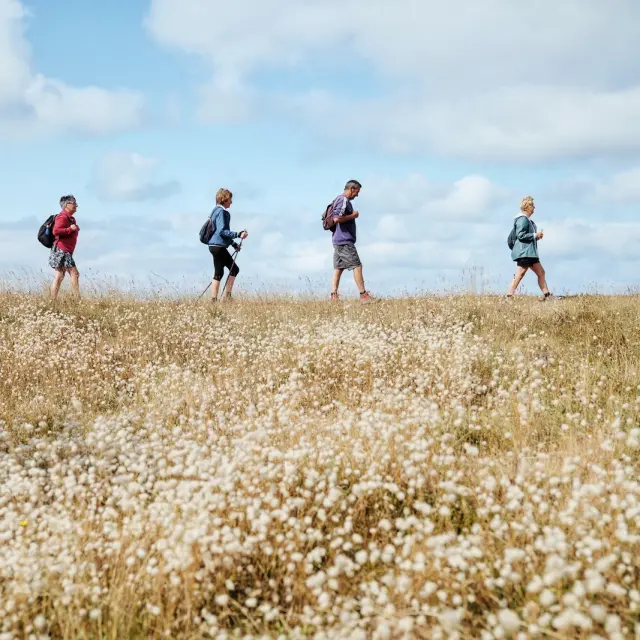 Four people walking in a field of wildflowers