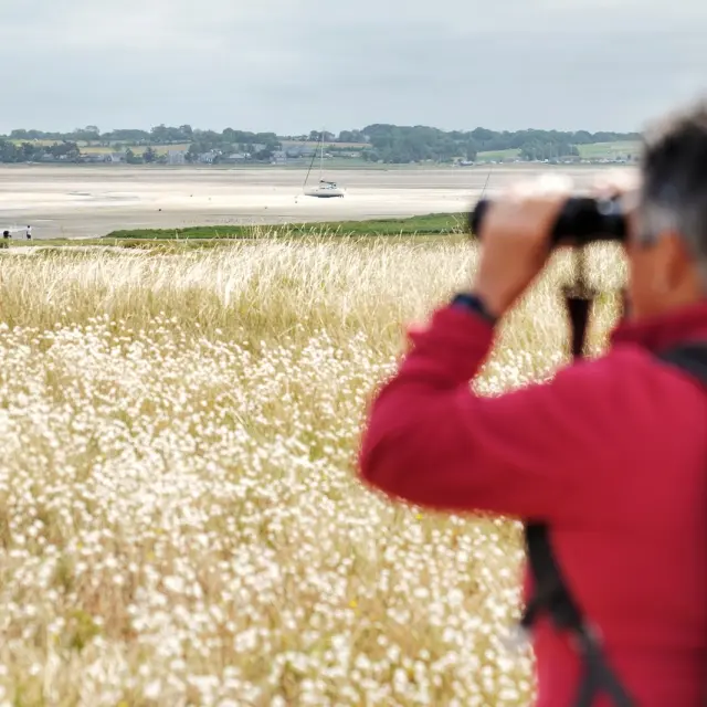 Personne utilisant des jumelles pour observer des oiseaux dans le havre de regneville
