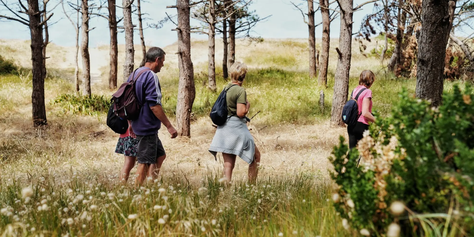 Three people walking in a forest