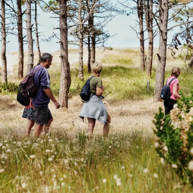Three people walking in a forest
