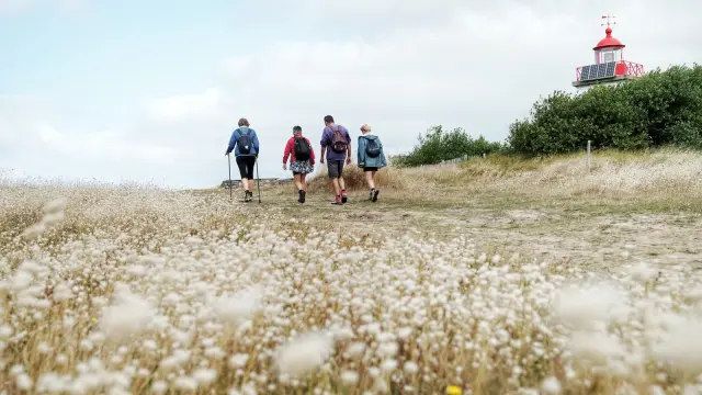 Quatre personnes marchent vers un phare sur un chemin herbeux à la pointe d'Agon