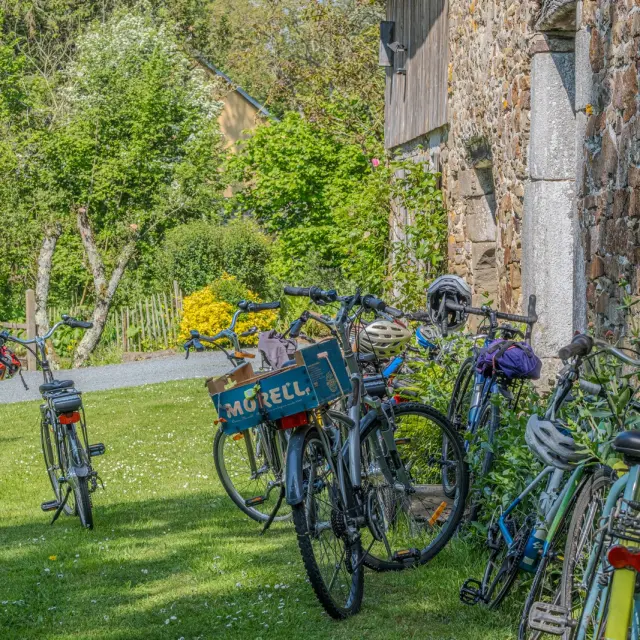 Several bikes leaning against a stone wall in a garden