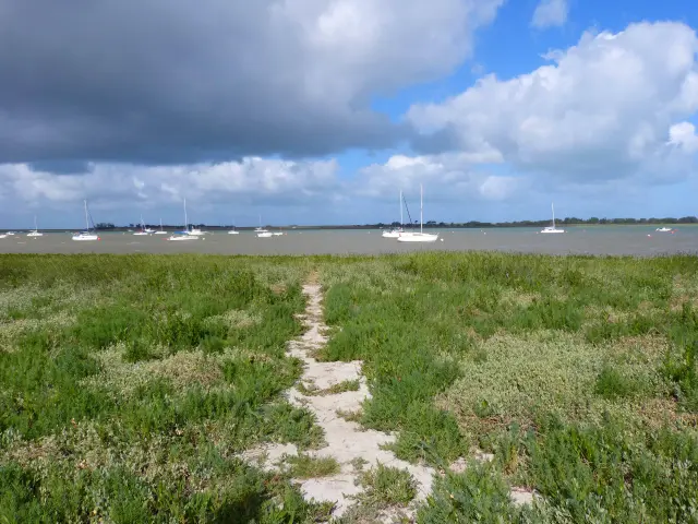 Sand path leading to a body of water with boats in the distance