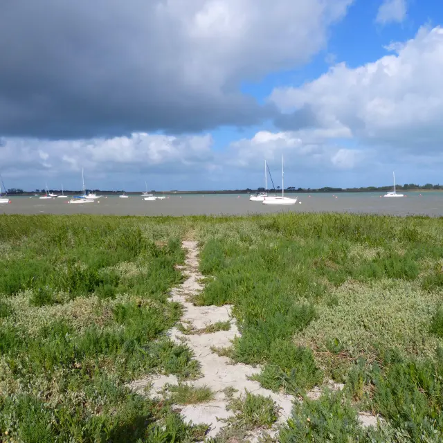 Havre de Regneville sur Mer