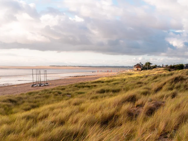 Deserted beach with tall grasses and a cloudy sky