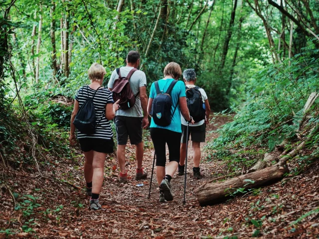 Quatre personnes marchant sur un sentier de randonnée en forêt à Coutances mer et bocage