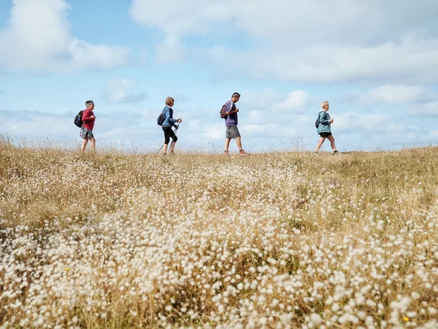 Four people walking in a field of wildflowers
