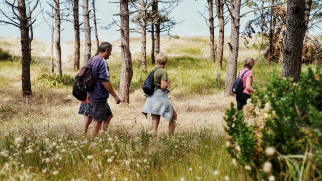 Three people walking in a forest