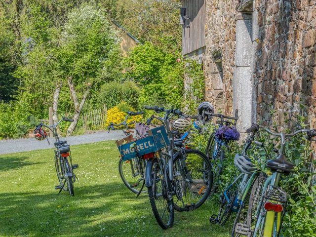 Several bikes leaning against a stone wall in a garden