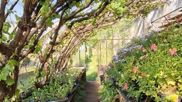 Intérieur de la serre du château de Cerisy la Salle