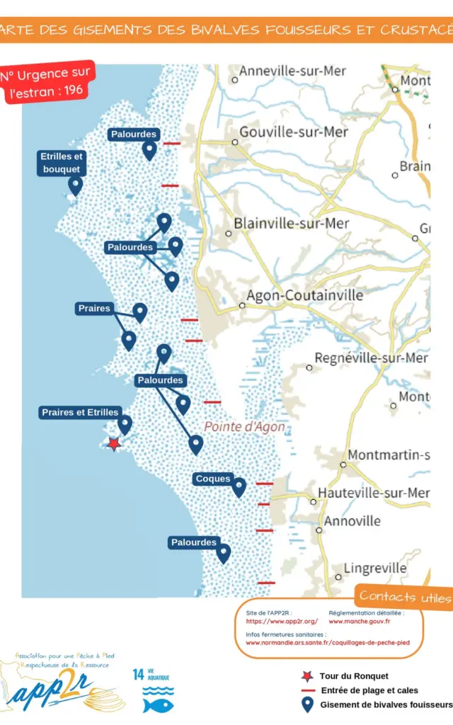 Carte des gisements de bivalves fouisseurs et crustacés