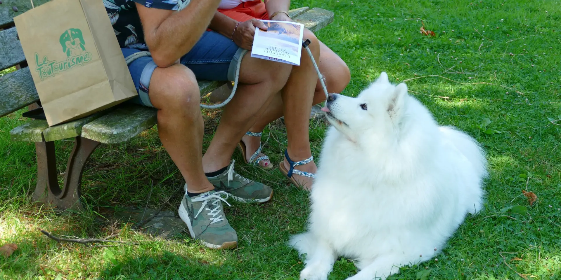 Zwei Personen sitzen auf einer Bank mit einem weißen Hund