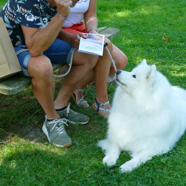 Zwei Personen sitzen auf einer Bank mit einem weißen Hund