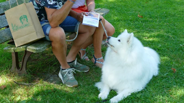 Zwei Personen sitzen auf einer Bank mit einem weißen Hund