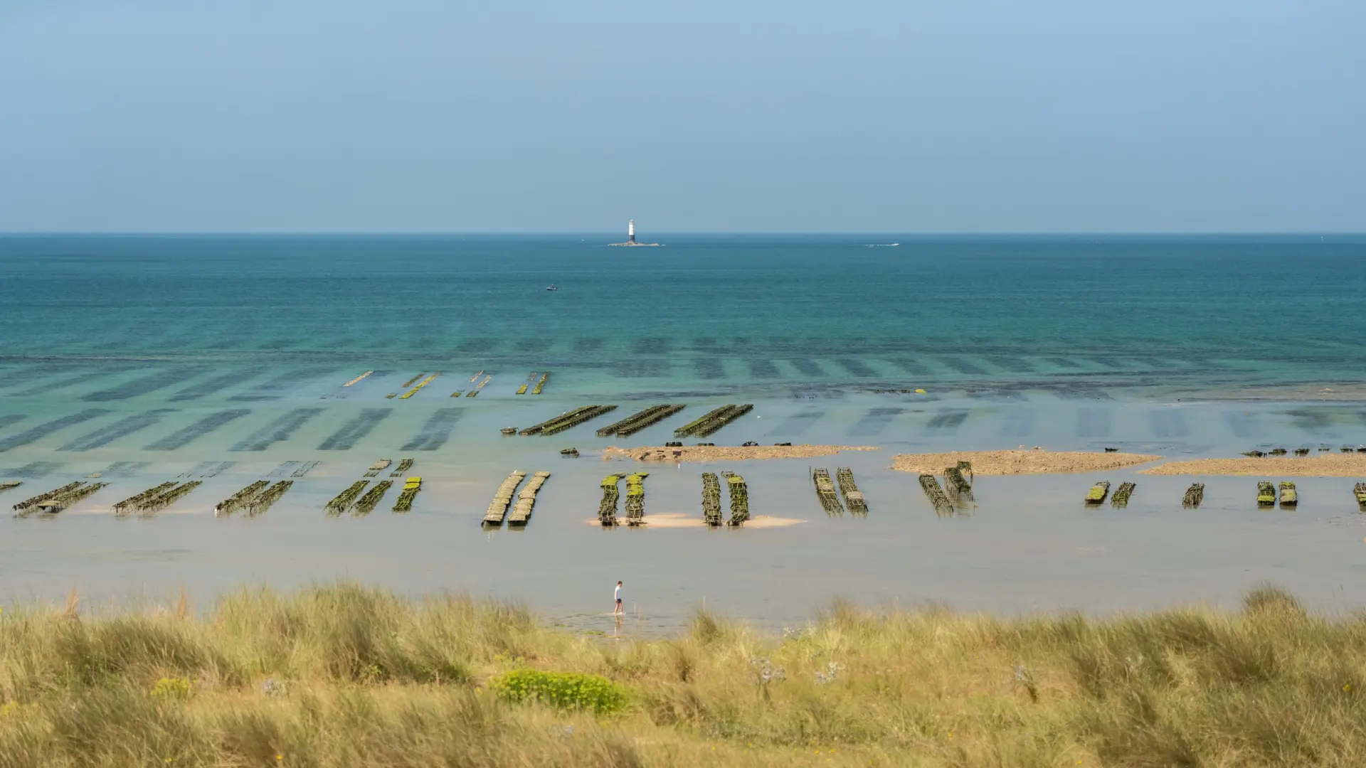 Parcs à huitres
