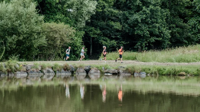 Quatre personnes courant le long d'un lac entouré d'arbres : trail, course à pied