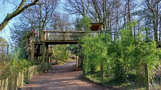 Pont d'observation au zoo de Jurques