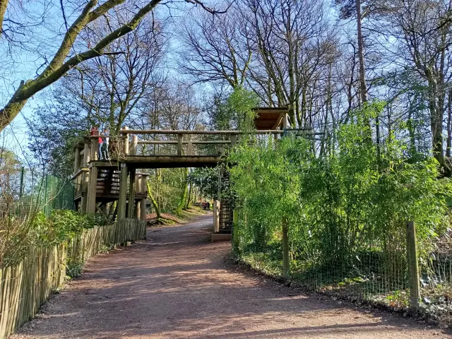 Pont d'observation au zoo de Jurques
