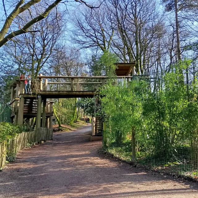 Pont d'observation au zoo de Jurques