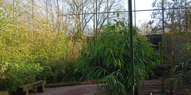 Zoo De Jurques