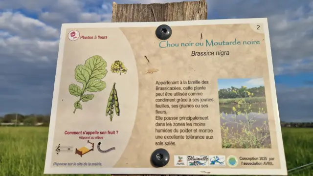 Panneaux Sentier Polder Blainville Sur Mer