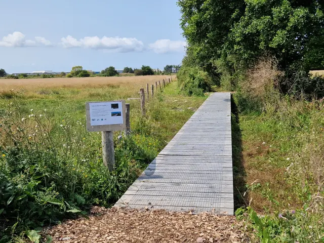 Chemin au Polder Blainville Sur Mer