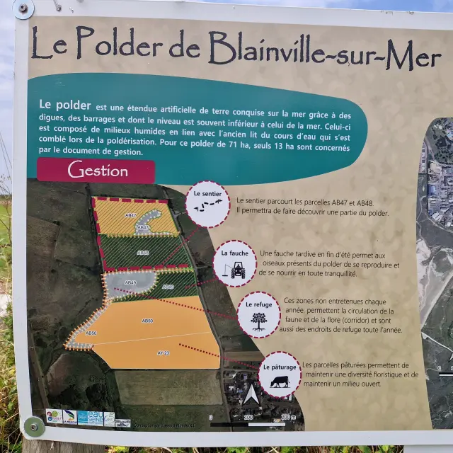 Polder Blainville Sur Mer - panneau explicatif