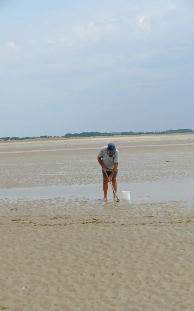 Peche A Pied Hauteville Sur Mer Coutances Tourisme 5 Rotated