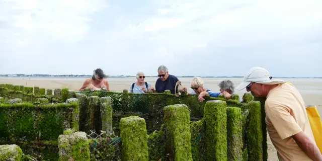 Visite Pecherie La Maillard Juillet 2026 Coutances Tourisme 43